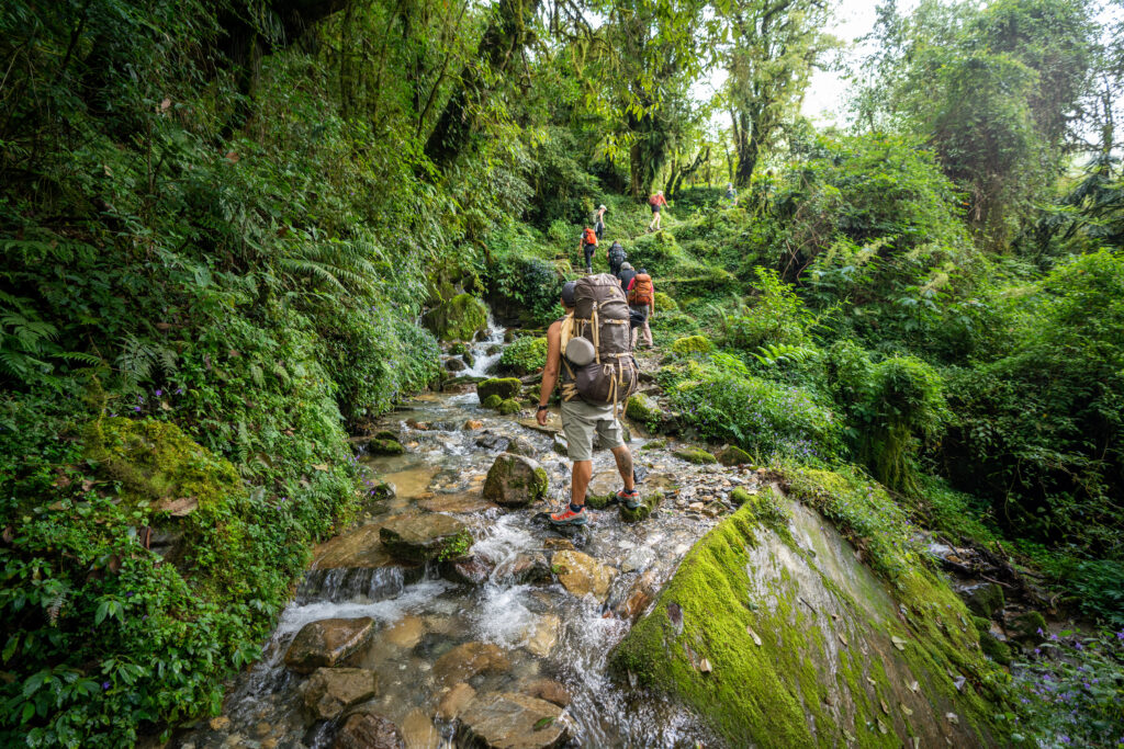 A male guide stands in the middle of a creek crossing to help other hikers cross safely.
